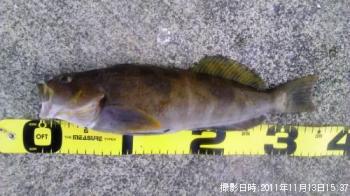 �����ʥ�