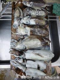 ¤¢¤ª¤ê¤¤¤«¡¡¹Ã¤¤¤«