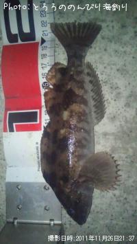 �����ʥ�