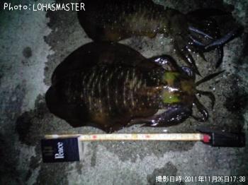 �����ꥤ��