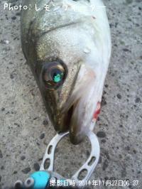 �����Х�