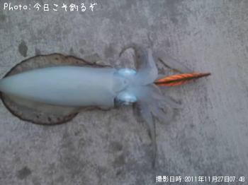 ¥¢¥ª¥ê¥¤¥«