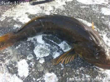 �����ʥ�