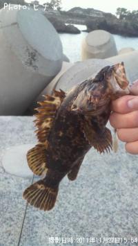 ¥Ù¥Ã¥³¥¦¥¾¥¤