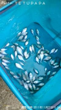 ÂçΦ¥Ð¥é¥¿¥Ê¥´