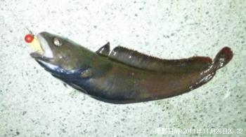 ¥¨¥¾¥¤¥½¥¥ó¥°