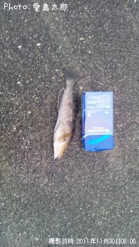 �����ʥ�