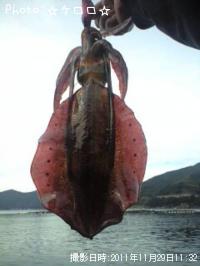 �����ꥤ��