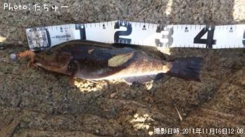 �����ʥ�