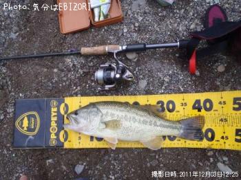 �֥�å��Х�