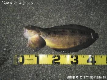 µðÂ糤¥ª¥¿¥Þ