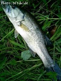 �֥�å��Х�