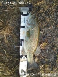 �֥�å��Х�