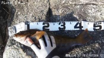 �����ʥ�