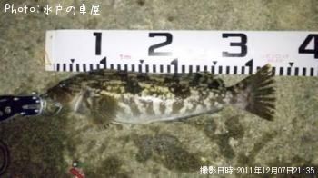 ¥¢¥¤¥Ê¥á¡¥