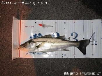 �����Х�