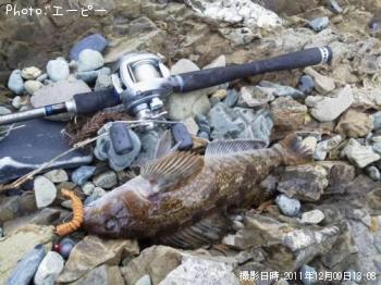 �����ʥ�