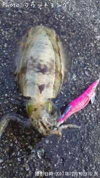 �����ꥤ��