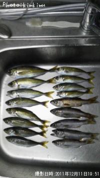 ¥¢¥¸¡¢¥à¥Ä¤Ã¤³