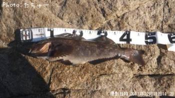 �����ʥ�