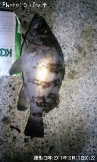 ��Х�����