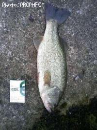 ¥Ö¥é¥Ã¥¯¥Ð¥¹