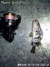 �����Υ���Х�