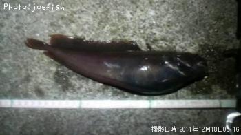 �������������ʥ�