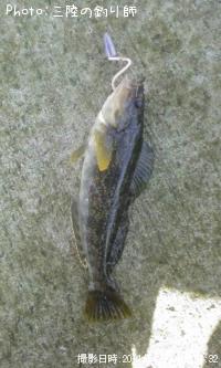 �����ʥ�