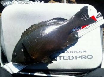 �����᥸��