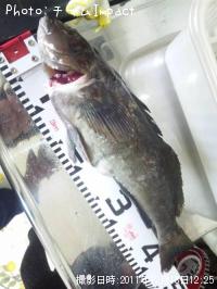 �����ʥ�