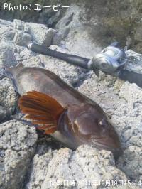 �����ʥ�