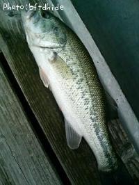 ¥Ö¥é¥Ã¥¯¥Ð¥¹