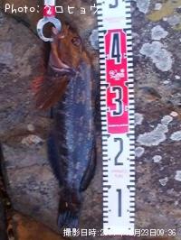 �����ʥ�