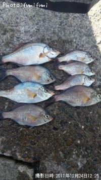 ���ߥ��ʥ�