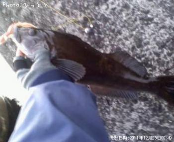 �����ʥ�