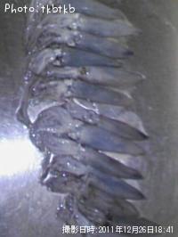 �ƥ��ӥ���