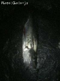 �����Х�