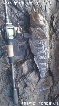 �����ʥ�