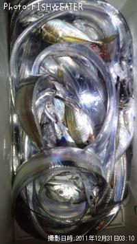 º£Ç¯ºÇ¸å¤âÂÀÅáµû