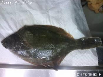 ¥¤¥·¥¬¥ì¥¤