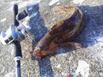 �����ʥ�