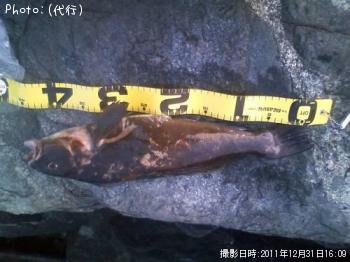 �����ʥ�