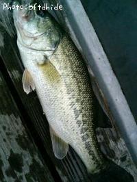 ¥Ö¥é¥Ã¥¯¥Ð¥¹