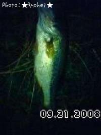 �֥�å��Х�