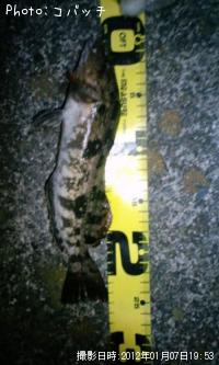 �����ʥ�