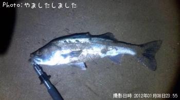 �����Х�