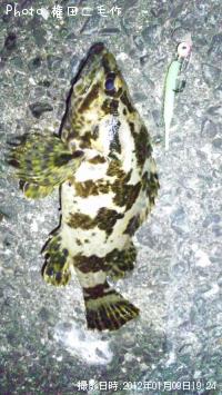 ¥¿¥±¥Î¥³¥á¥Ð¥ë