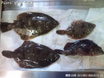 ¥Þ¥³¥¬¥ì¥¤