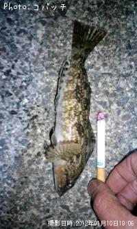 �����ʥ�